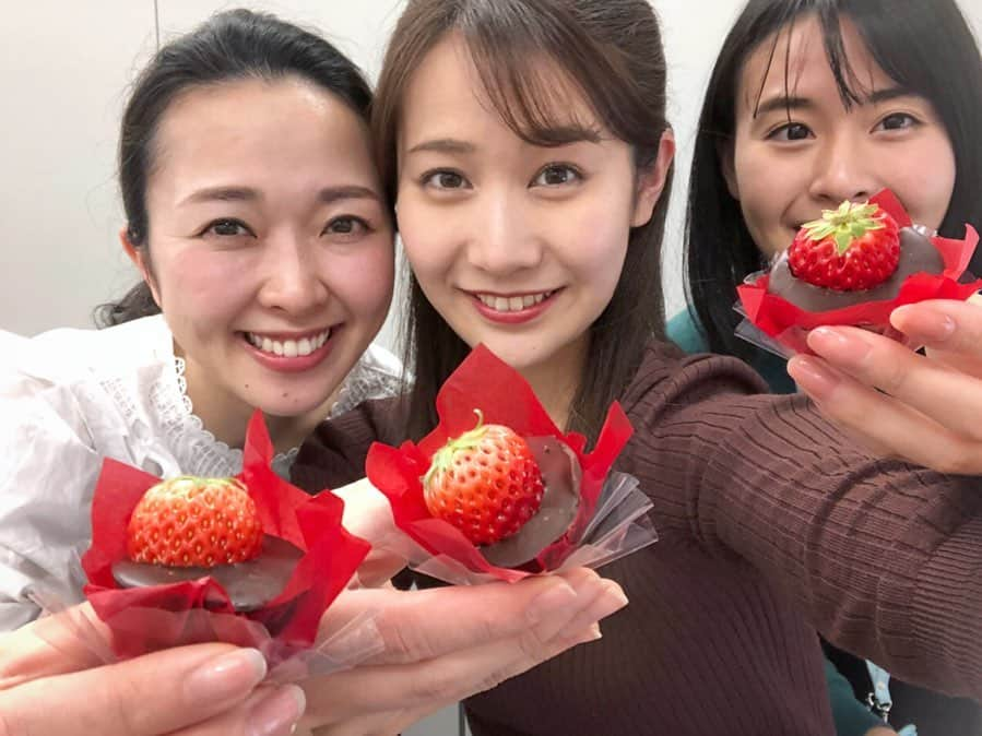 島津咲苗さんのインスタグラム写真 - (島津咲苗Instagram)「Happy Valentine🍓  1日早いですが・・・ ドデスカで紹介したオードリーのチョコイチゴ🥰 先輩方と一つずついただきました。 . . . #メーテレ #ドデスカ #アナウンサー #徳重杏奈 #望木聡子 #島津咲苗 #名古屋スイーツ #アムールデュショコラ #アムールデュショコラ名古屋 #チョコレート #バレンタイン #オードリー #いちご」2月13日 21時38分 - sanae_shimazu