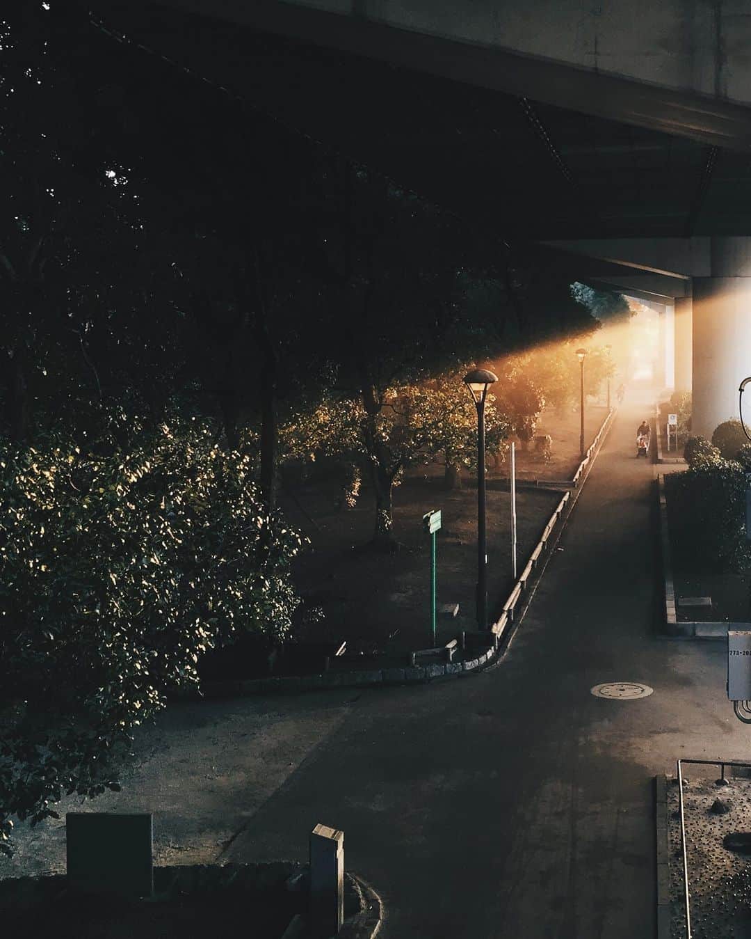 ima_ju / Jun Iのインスタグラム：「. . One Day . . ::」