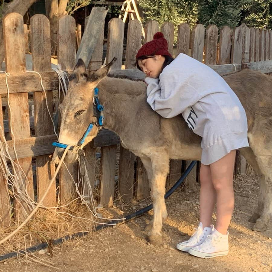 与田祐希さんのインスタグラム写真 - (与田祐希Instagram)「OFF SHOT🇮🇹 ﻿ #与田動物園 ﻿ ﻿ 大好きなポニーと一緒に💕この時のムービーはTwitterで公開中！ ﻿ Twitter👉【yodayuuki_oimo】 ﻿ ﻿ #与田祐希2nd写真集 #よだちゃんブック #与田祐希 #無口な時間」2月13日 22時29分 - yodayuuki_oimo