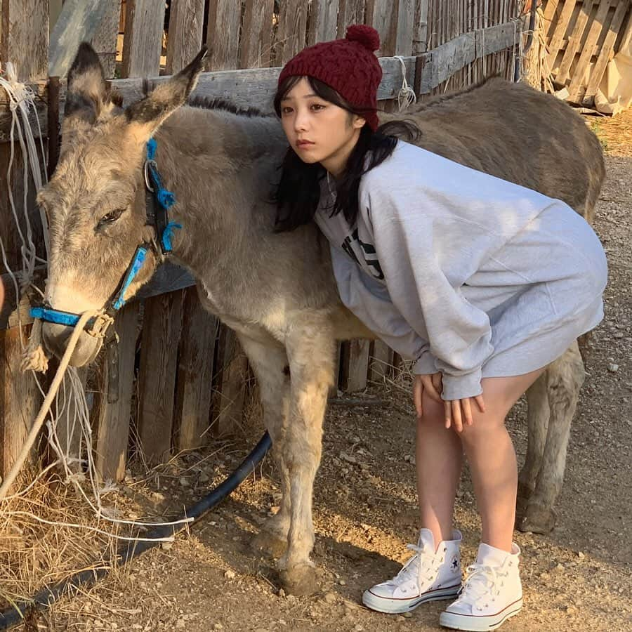 与田祐希さんのインスタグラム写真 - (与田祐希Instagram)「OFF SHOT🇮🇹 ﻿ #与田動物園 ﻿ ﻿ 大好きなポニーと一緒に💕この時のムービーはTwitterで公開中！ ﻿ Twitter👉【yodayuuki_oimo】 ﻿ ﻿ #与田祐希2nd写真集 #よだちゃんブック #与田祐希 #無口な時間」2月13日 22時29分 - yodayuuki_oimo