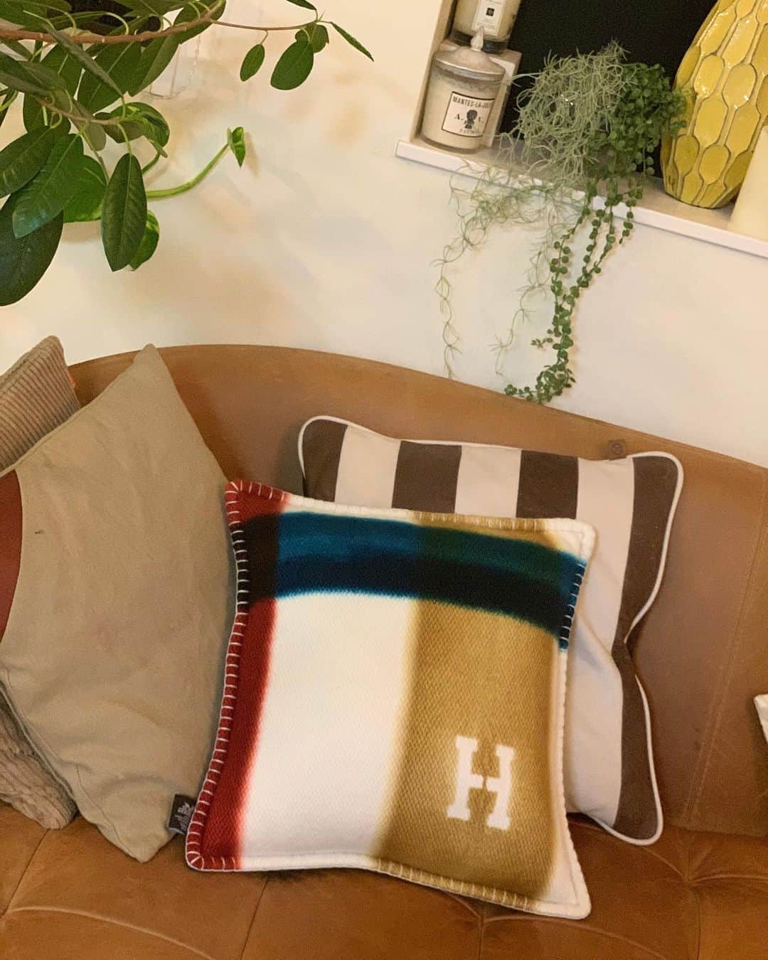 joujouのインスタグラム：「ストーリーにもUPしたんだけど…😚 先日HERMESで購入したのは、 interior系です。  緑たちも元気！元気！  まずはcushion！！ HERMESのcasualなデザインに目がない🧡  #眺めてます #HERMES #クッション #ラウも触ったらあかんよ😳 やはりHERMESは特別な ブランドです😚」