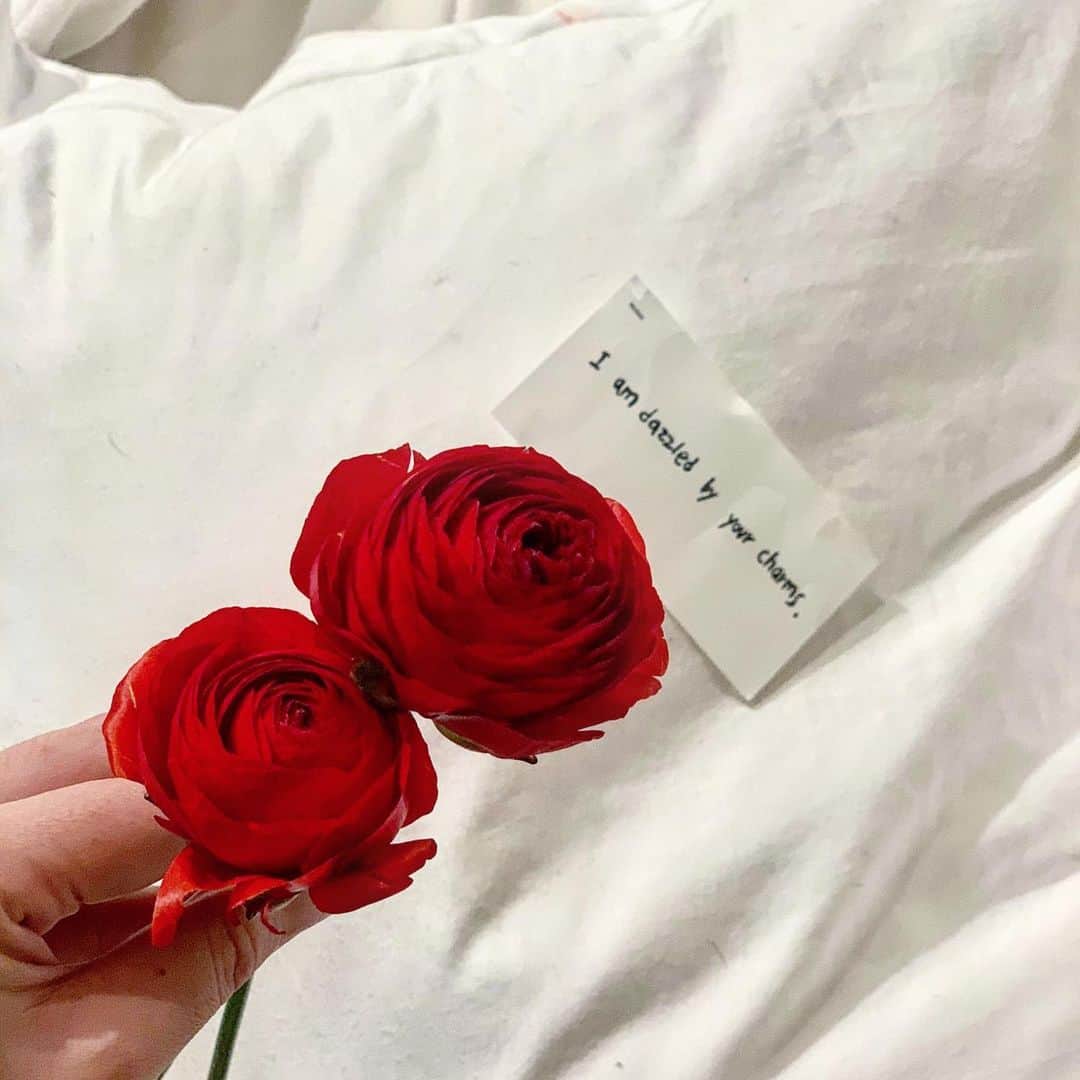 RIKAPEPEのインスタグラム：「一輪の花に、普段は言えない「言葉」を託して。好きと言えないから花言葉を贈る。口下手な日本男児にこそ、お花を上手に使ってもらいたい🌹 #フラワーバレンタイン #myフラワーバレンタイン  #花言葉  #ラナンキュラス  #あなたの魅力に目を奪われる」