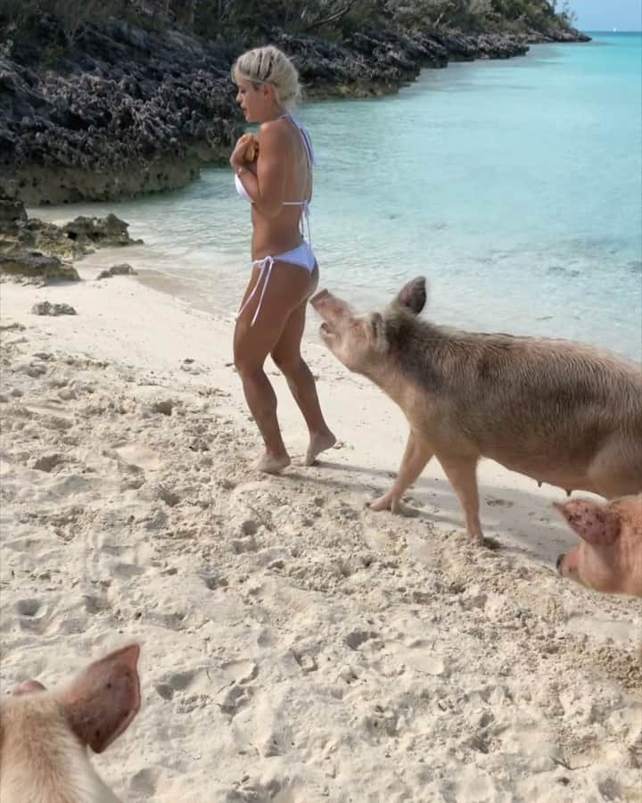 Michelle Lewinのインスタグラム：「One year ago. Unpublished videos. Best comment wins $250 🏃🏼‍♀️🐖💨」