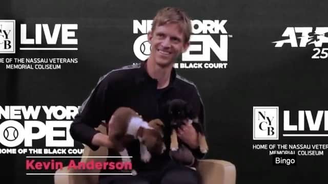 ケビン・アンダーソンのインスタグラム：「More interviews with dogs please 😂 #Repost @nycblive We had some special pals join our tennis stars for a ruff interview! Learn more about @AnimalLeague and #GetYourRescueOn 🐶」