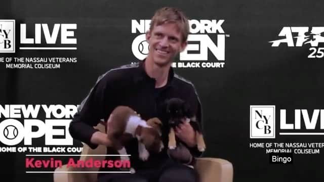 のインスタグラム：「More interviews with dogs please 😂 #Repost @nycblive We had some special pals join our tennis stars for a ruff interview! Learn more about @AnimalLeague and #GetYourRescueOn 🐶」