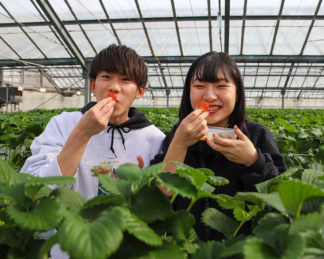 愛知県田原市のインスタグラム