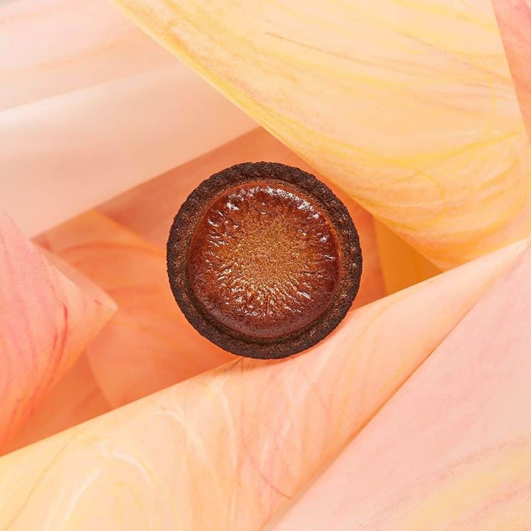 BAKE CHEESE TART OFFICIALのインスタグラム