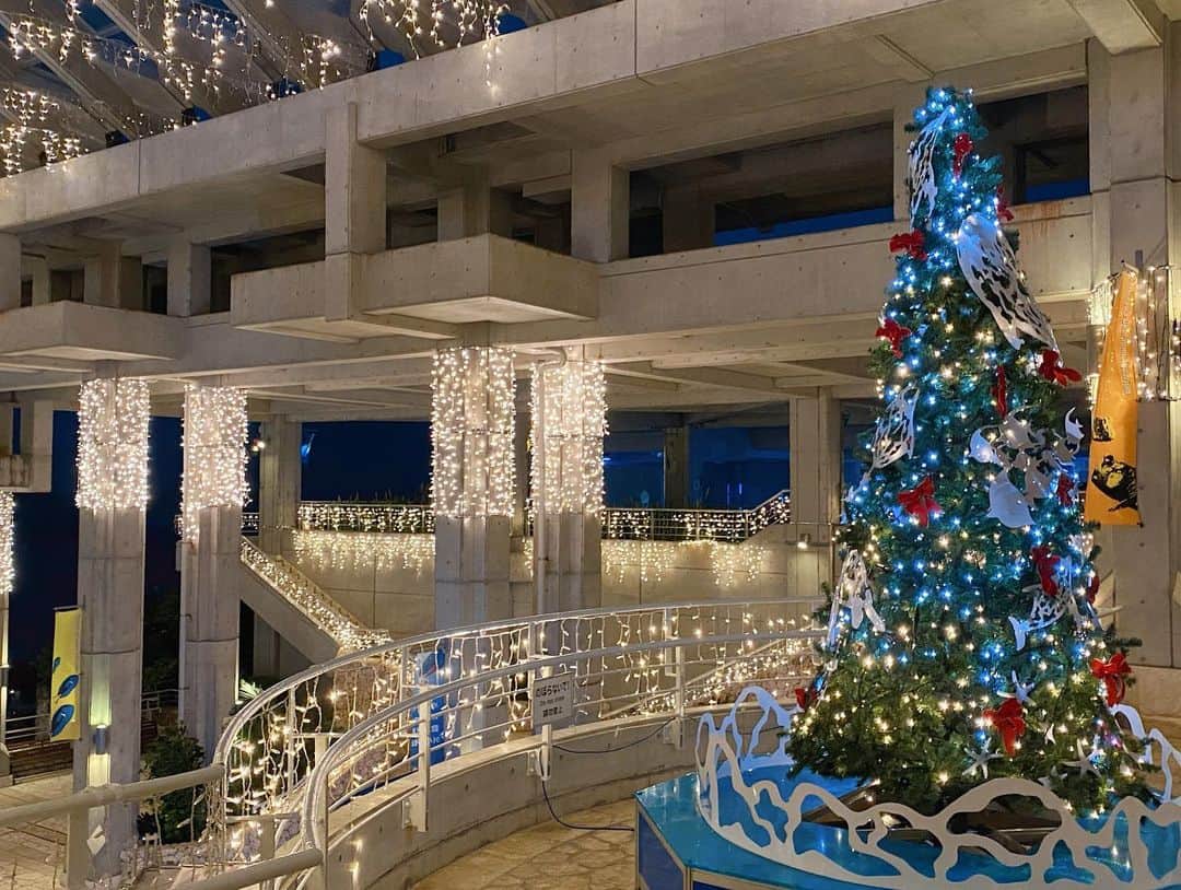 センチュリオンホテル&リゾートヴィンテージ沖縄美ら海さんのインスタグラム写真 - (センチュリオンホテル&リゾートヴィンテージ沖縄美ら海Instagram)「ハイサーイ😊 皆様、 いかがお過ごしでしょうか？  1月12日より2月28日まで美ら海水族館でナイトアクアリウムを開催しました。 昼の時と違う魅力と外側の方には綺麗なイルミネーションまで楽しめるイベントです。 皆様いかがでしょうか？ (上記イベントは2月8日、 14日、 21日、22日は開催しませんのでご注意お願い申し上げます。) 皆様のご来館 心よりお待ちしております🙇‍♀️ . . . #センチュリオンホテル  #沖縄 #美ら海  #centurionhotel  #okinawa #churaumi」2月14日 9時46分 - centurionhotel_okinawachuraumi