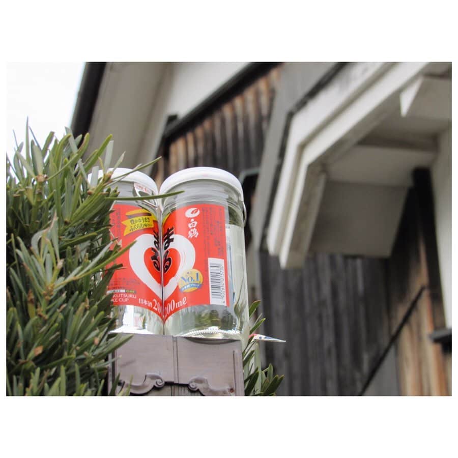 白鶴酒造株式会社さんのインスタグラム写真 - (白鶴酒造株式会社Instagram)「【Happy Valentine !!】 バレンタインといえばチョコレートですよね。 以前スイーツと日本酒のペアリングを試した際、 「まる」は、ザッハトルテと相性が良かったですよ！ 良ければお試しください。  #日本酒 #白鶴 #hakutsuru #japan #神戸 #kobe #酒 #sake #japanesesake #japaneseculture #灘五郷 #GI灘五郷 #lovehyogo #lovekobe #insta_higashinada #白鶴まる #まる #まるハート #HappyValentine #バレンタイン #ハート #バレンタインデー」2月14日 10時02分 - hakutsuru_official