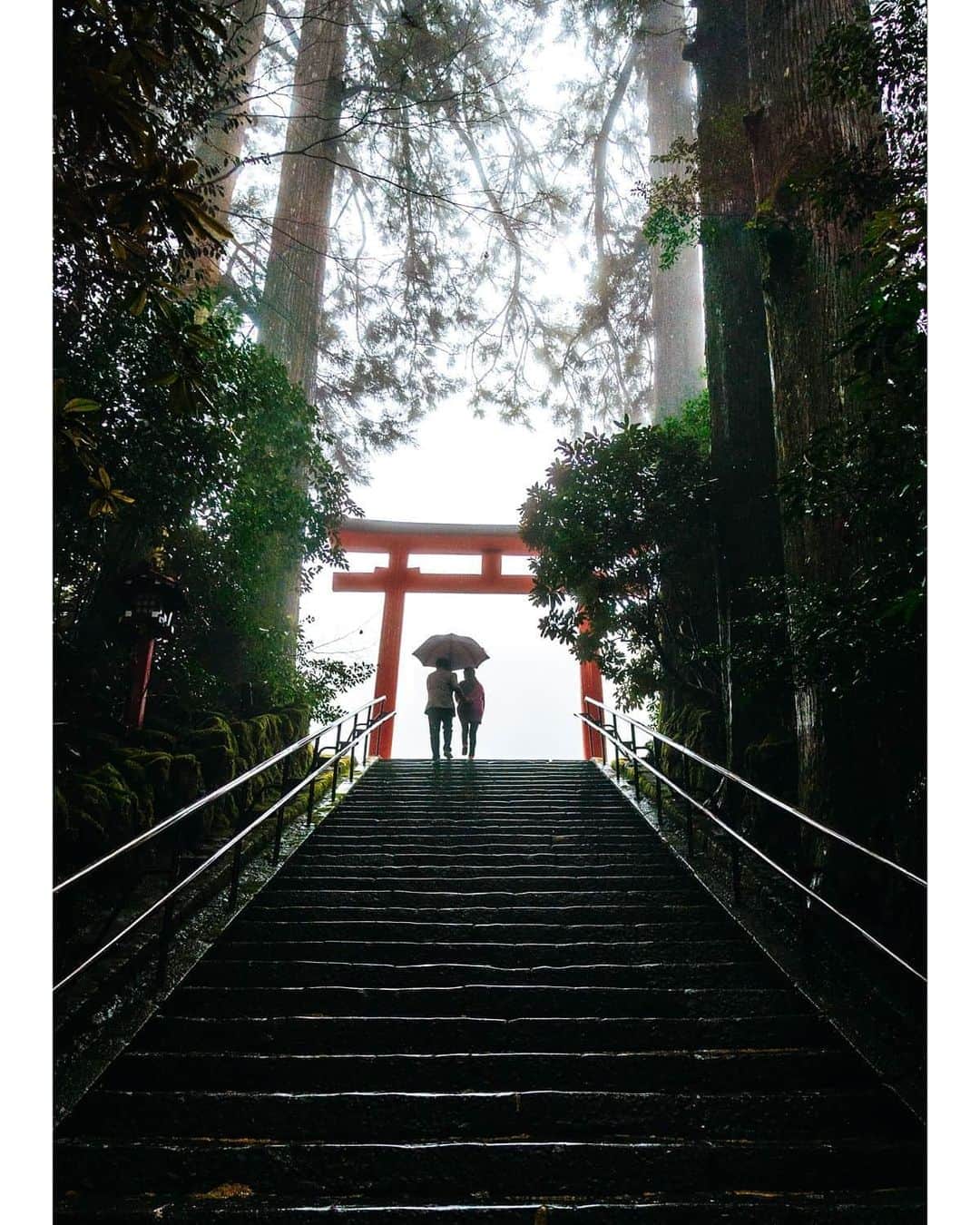 VuTheara Khamさんのインスタグラム写真 - (VuTheara KhamInstagram)「Yesterday, I discovered Hakone Shrine Peace Torii, in #Kanagawa. The weather was magic, morning fog, little bit rainy, like a dream ⛩️ .  #UnknownJapan #visitjapanjp @visitjapanjp」2月14日 19時30分 - vutheara