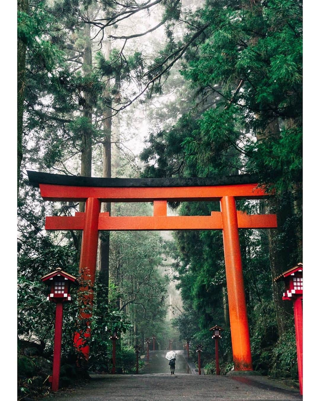 VuTheara Khamさんのインスタグラム写真 - (VuTheara KhamInstagram)「Yesterday, I discovered Hakone Shrine Peace Torii, in #Kanagawa. The weather was magic, morning fog, little bit rainy, like a dream ⛩️ .  #UnknownJapan #visitjapanjp @visitjapanjp」2月14日 19時30分 - vutheara