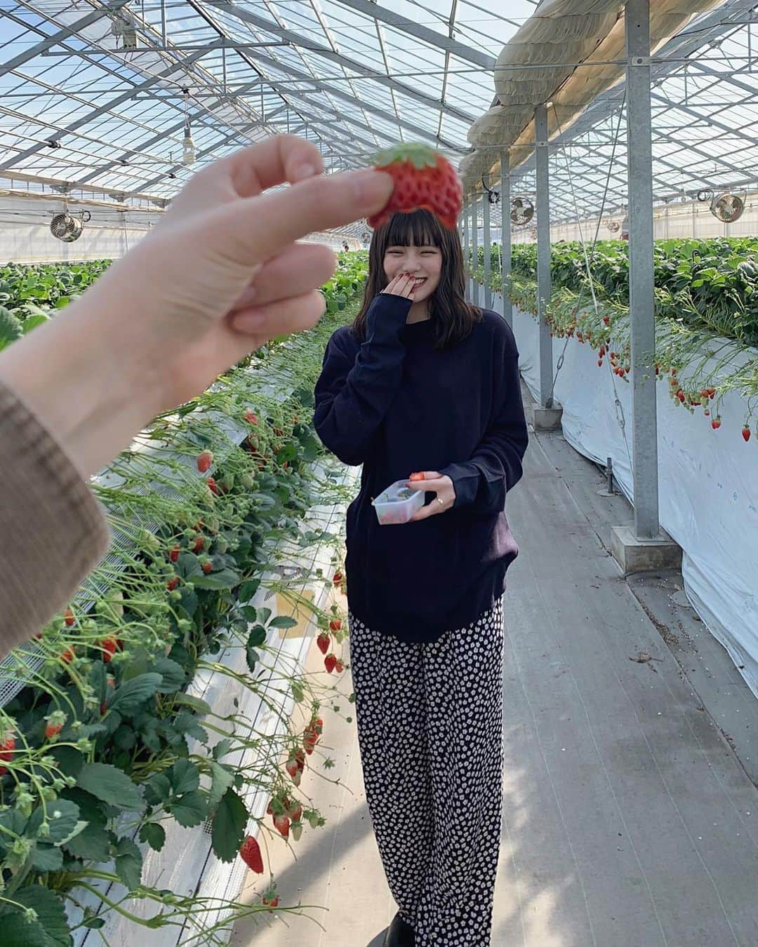 木村なつみさんのインスタグラム写真 - (木村なつみInstagram)「恒例の🍓帽子 色々タグしました🏷」2月14日 19時38分 - natsumi__kimura