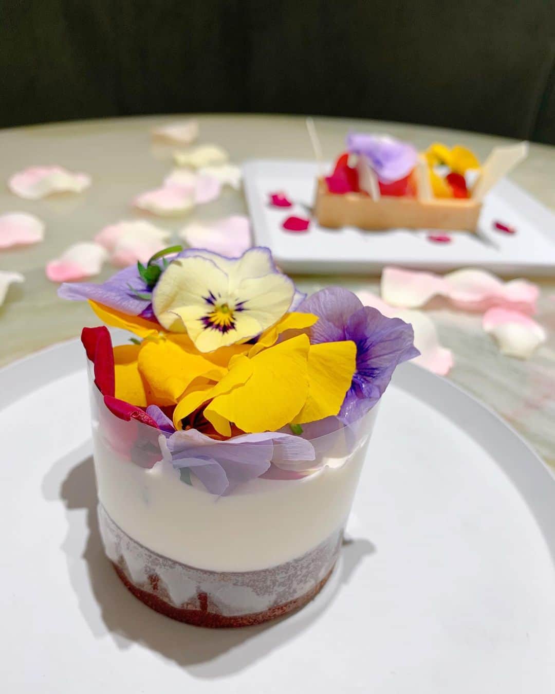沢井里奈さんのインスタグラム写真 - (沢井里奈Instagram)「♡ . Happy Valentine🍫💕💕 . @the_flower_table の ガトーショコラ🍰🤎 . フィルムをとるとクリームとお花が ふわっとなって完成するんです🥺💐💕💕 . とっても可愛くて、 程よい甘さで美味しかったです😊💕💕 . #the_flower_table #valentine #sweets #cafe #sakae #nagoya #ootd #coordinate #fashion #instafashion #instagood #instagramjapan #japanesegirl #girls #사복 #옷스타그램 #팔로우 #셀카 #フラワーテーブル #ガトーショコラ #スイーツ #名古屋グルメ #カフェ #栄カフェ #名古屋カフェ #カフェ巡り #さわーカフェ巡り #動画映え #沢井里奈」2月14日 19時43分 - sawairina