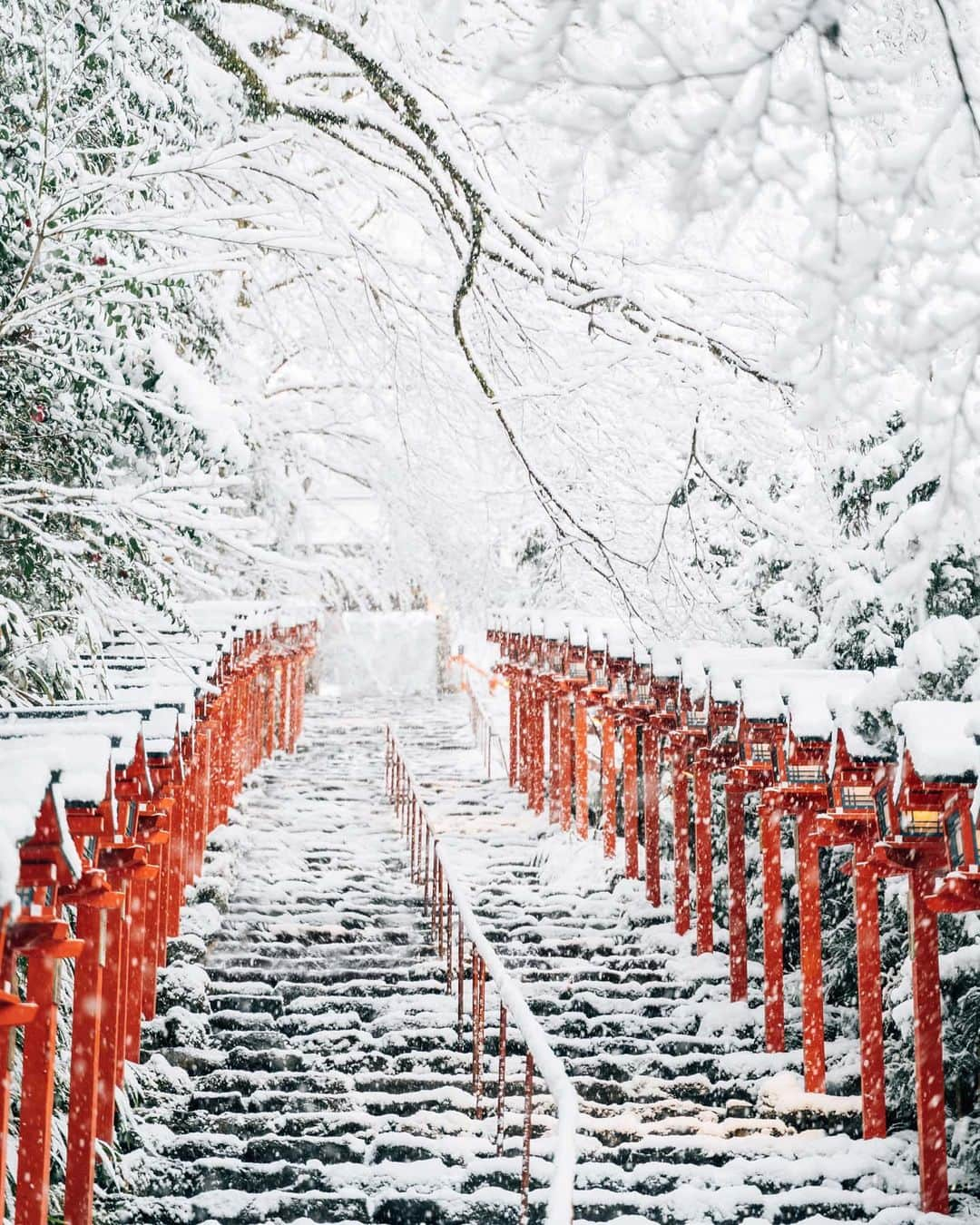 京都いいとこフォトのインスタグラム