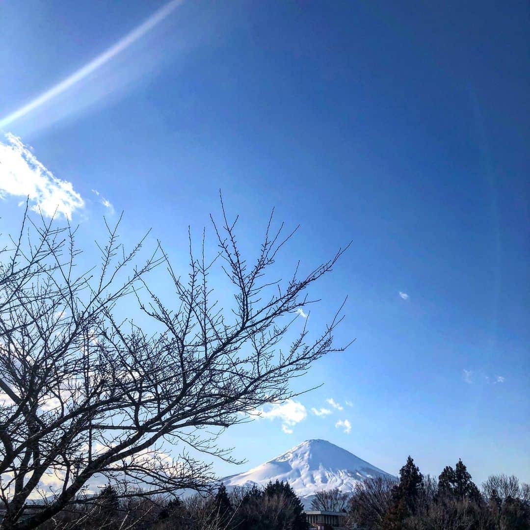 千秋さんのインスタグラム写真 - (千秋Instagram)「富士山に近付きたくて🗻  富士山が大好きで、物件を選ぶ条件の一つに「窓から富士山がちゃんと見えるかどうか」が入ってます。晴れた日は毎日おはようと挨拶をします。  #富士山 #fujiyama #mtfuji #🗻 #遠出 #静岡県」2月14日 12時19分 - chiaki77777