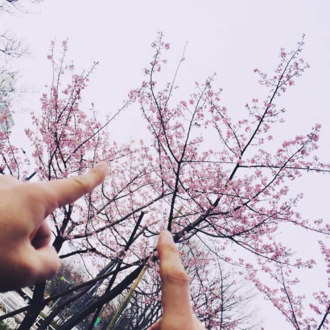 sukekiyoさんのインスタグラム写真 - (sukekiyoInstagram)「リハ前に楽器修理！ 早咲きの桜を発見🌸🌸 匠 & utA  #sukekiyo #TOUR2020_DRIPPIN」2月14日 12時43分 - sukekiyo_official