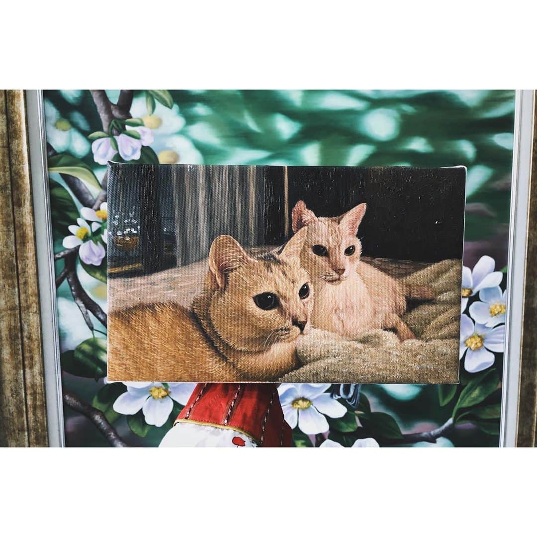 eriさんのインスタグラム写真 - (eriInstagram)「うちの猫たちの絵も描いてもらった。かわいい。。　#紋久育児日記 #YUMACOCO」2月14日 12時43分 - e_r_i_e_r_i