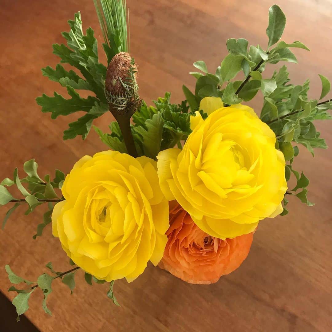 のインスタグラム：「Happy Valentine’s Day!  今日は私のソロライブがあるはずだった日ですが、まだ闘病しております。 愛すべき新代田フィーバーの今日という日、ライブをやってくれるのは TENGA×突然少年ワンマン。 本当に色んな方にご迷惑をお掛けしてしまいましたが、何卒本日足を運んでくださいませ。 突然少年のマネージャーの アラヤくんのブログもぜひ読んでくださいね。  https://arjpblog.hatenablog.jp/entry/2020/01/14/223050」