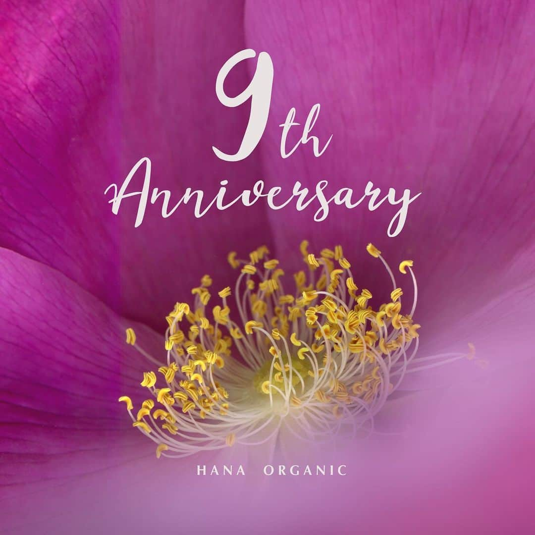 HANA ORGANICさんのインスタグラム写真 - (HANA ORGANICInstagram)「Happy Valentine's Day! ＆ Happy Birthday!  2月14日はHANAオーガニック誕生の日です✨✨ 皆さまのおかげで9周年を迎えることができました😌  大切なひとに贈り物をするバレンタイン。 そんな日にHANAオーガニックは生まれました。  HANAオーガニックから皆さまへ 皆さまから、大切なひとへ  肌を、ひとを、自分自身を大切に思う気持ちが HANAオーガニックを通して沢山のひとに伝播していけたら。 そんなことを願うバレンタインデーです🌌  花の写真はハマナス。 ジャパニーズローズともいわれるバラの原種の一種で、 古くから日本に海岸に多く自生して精油や漢方薬として使われてきました。  香りがよく、その可憐な美しさはまさに日本のローズ🌸 「旅の楽しさ」という花言葉ももつそうです。 日本各地にある色々なバラを見に行く旅も楽しいかもしれませんね😊  HANA ORGANICは2020年もローズの素晴らしさを商品を通して皆さまへお伝えして参ります💐 新製品をどうぞ楽しみにお待ち下さい✨  #hanaorganic #HANAオーガニック　 #ホリスティックケア　#スキンケア #オーガニックコスメ #ダマスクローズ　#常在菌　#育菌美容　#がんばりすぎない　#わたしらしく　#心地よく #バレンタイン #アニバーサリー」2月14日 13時58分 - hana_organic