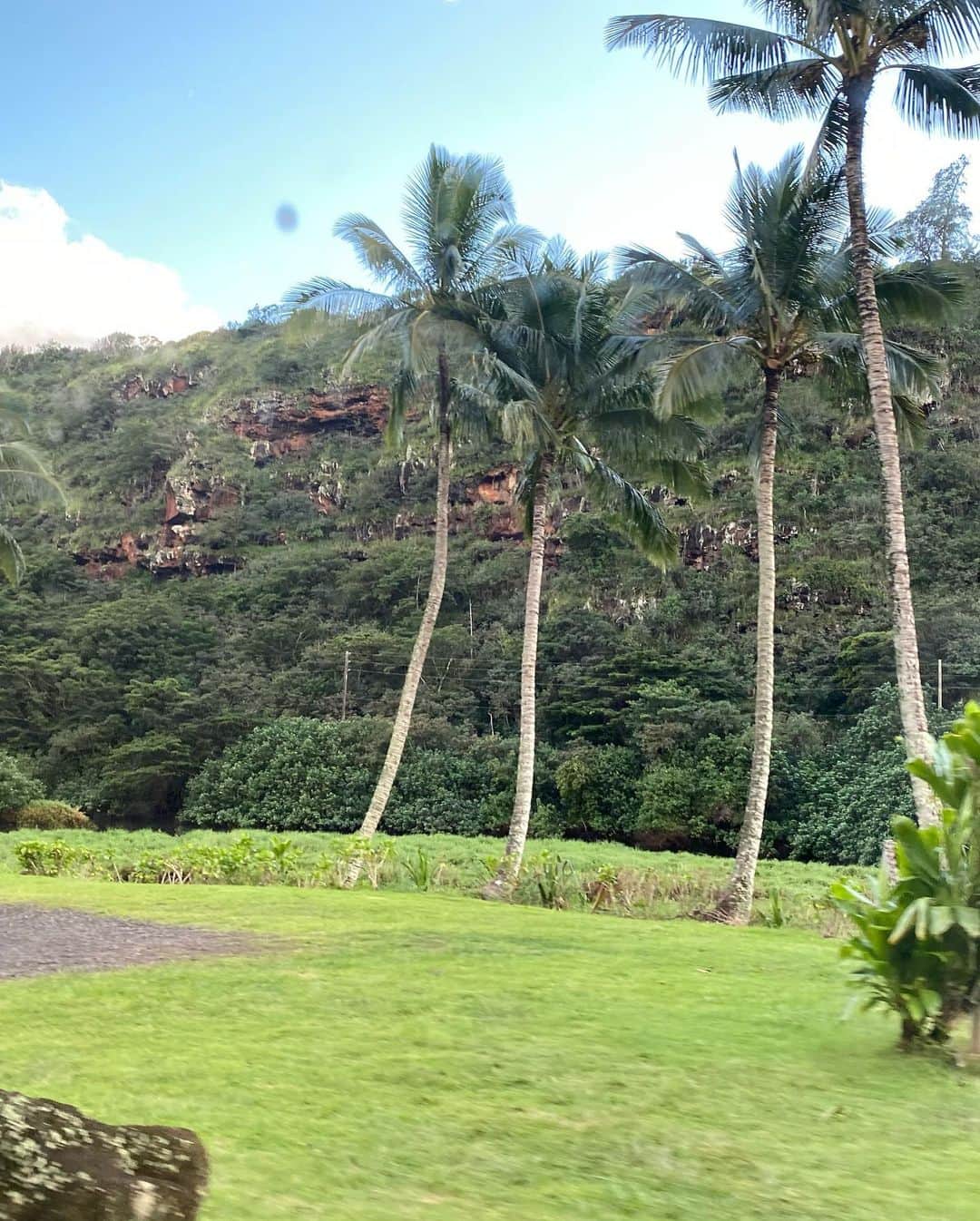 小川永子さんのインスタグラム写真 - (小川永子Instagram)「ハワイの空🌇 青空も夕焼けも、日の出や曇り空も、ほんとどの景色をとっても最高。  今回は、朝５時集合で、 #イルカ中学校　のプログラムに参加してきました。  忘れることのできない最高の体験🐬  またハワイに来たら、必ず会いに行きます！  いるかちゃん、大好きです❤️ #hawaii  #dolfin  #waikiki  #アナウンサー #正月ハワイ #写真 #空」2月14日 14時07分 - hisak03