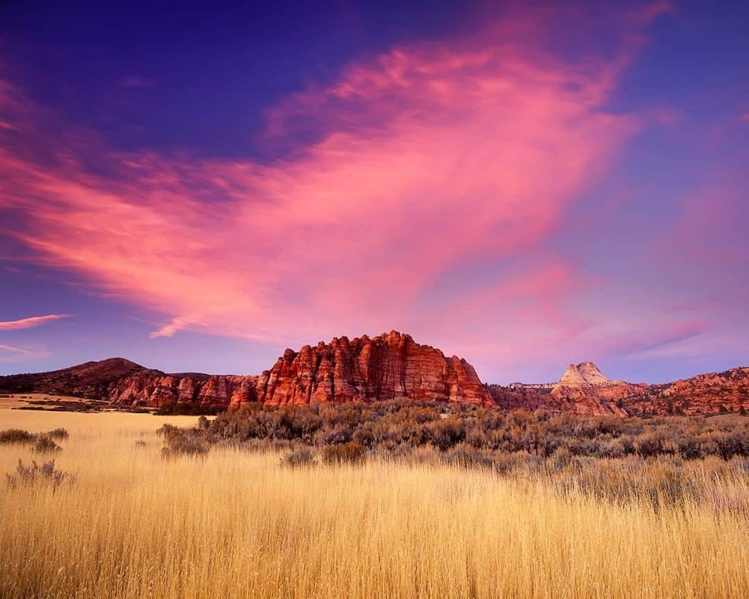 National Geographic Travelさんのインスタグラム写真 - (National Geographic TravelInstagram)「Photo by @stephen_matera | Sunset over the Cave Valley and Lower Kolob Terrace in Zion National Park, Utah. Nearly 84 percent of Zion has been protected as wilderness since 2009. The park is part of the Grand Staircase, a series of plateaus stepping down from 11,000 feet (3,300 meters) toward the Grand Canyon and Colorado River.  Follow me @stephen_matera for more images like this from Utah and around the world. #zionnationalpark #nationalpark #desert #sunset」2月14日 14時09分 - natgeotravel