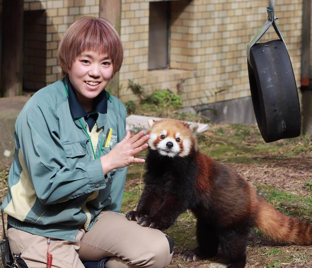 【公式】福岡ECO動物海洋専門学校さんのインスタグラム写真 - (【公式】福岡ECO動物海洋専門学校Instagram)「鹿児島市の 平川動物園公園🦒 で飼育員として頑張る卒業生に 会いに行ってきました🚅  レッサーパンダやツルを 担当しているそうで とってもいい笑顔😄 をしていました✨  #平川動物公園 #平川動物園  #鹿児島 #鹿児島市 #動物 #動物園 #飼育員 #zoo #zookeeper #レッサーパンダ  #福岡eco #福岡エコ #福岡eco動物海洋専門学校  #卒業生」2月14日 14時24分 - fukuokaeco