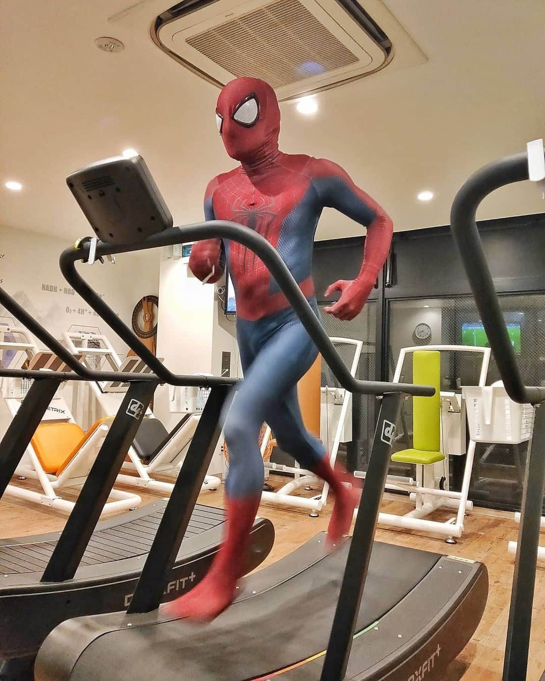 Japanese Spidermanのインスタグラム：「スパイダーマンになるには、トレーニングは必要不可欠。 . . . といっても、仕事でスパイダーマンどころか、トレーニングもできていない(T_T) . . . 時間がないので、高地トレで自分を追い込む。30分で2時間の運動量。 . . . マスクをつけたたままだと、効果は倍かな？？ とりあえず ↓ここにスパイダーマンの動画載ってます（笑） @highalti.kichijoji  #週末ヒーロー  #スパイダーマン#コスプレ#コス#吉祥寺 #マーベル #トレーニング #筋トレ #ラン#筋肉#ジム#ダイエット #spiderman#バレンタイン #marvel#cosplay #cos」