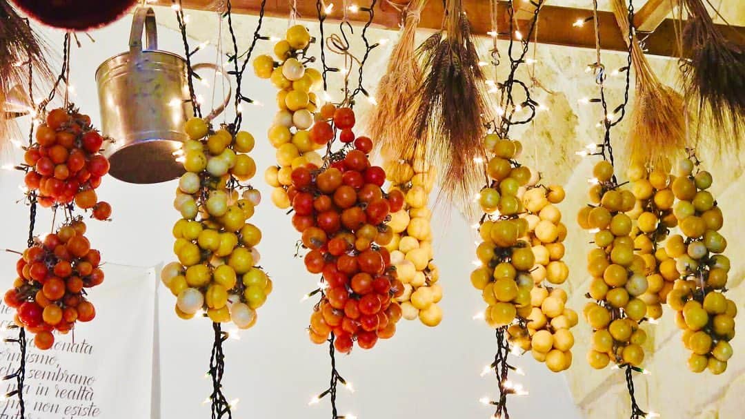 TBS「世界ふしぎ発見！」さんのインスタグラム写真 - (TBS「世界ふしぎ発見！」Instagram)「プーリア地方でよく見かける、この葡萄のような可愛らしい飾りは… ﻿ なんと、トマト‼️﻿ ﻿ 南イタリア特有の、冬の風物詩なんだとか🍅﻿ ﻿ 皮が厚く塩分を多く含むので、﻿ 冬の間中吊るしていてもカピカピにならず﻿ ずっと美味しく食べられるそうです✨﻿ ﻿ 番組のどこかにも出てくるので、ぜひ探してみてくださいネ👀﻿ ﻿ #明日夜9時 #TBS #世界ふしぎ発見 #Puglia #Italy #tomato #pomodoro #イタリア旅行」2月14日 17時00分 - fushigi_hakkenad
