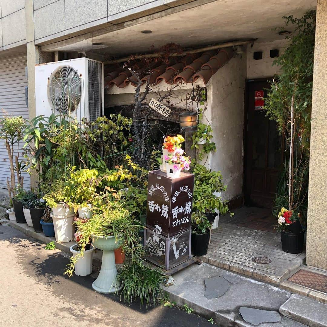 能町みね子さんのインスタグラム写真 - (能町みね子Instagram)「#喫茶メモ 神戸元町通 舌れ梵/ わっさわさ、もっさもさ、せませま、暗い暗い、なんもかも最高、こういうのがいちばん好きかもしれない、ローレンスとか、神楽坂のムギマル2とか、昔の中野のクラシックとか、舌れ梵とかが私は好きなのかもしれない、ママもマスターもいつまでもお元気でやってほしい」2月14日 18時50分 - nmcmnc