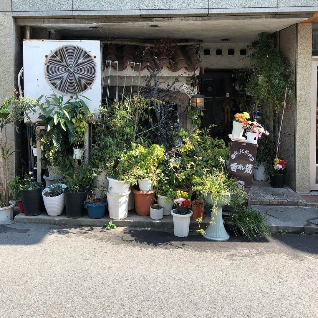 能町みね子さんのインスタグラム写真 - (能町みね子Instagram)「#喫茶メモ 神戸元町通 舌れ梵/ わっさわさ、もっさもさ、せませま、暗い暗い、なんもかも最高、こういうのがいちばん好きかもしれない、ローレンスとか、神楽坂のムギマル2とか、昔の中野のクラシックとか、舌れ梵とかが私は好きなのかもしれない、ママもマスターもいつまでもお元気でやってほしい」2月14日 18時50分 - nmcmnc