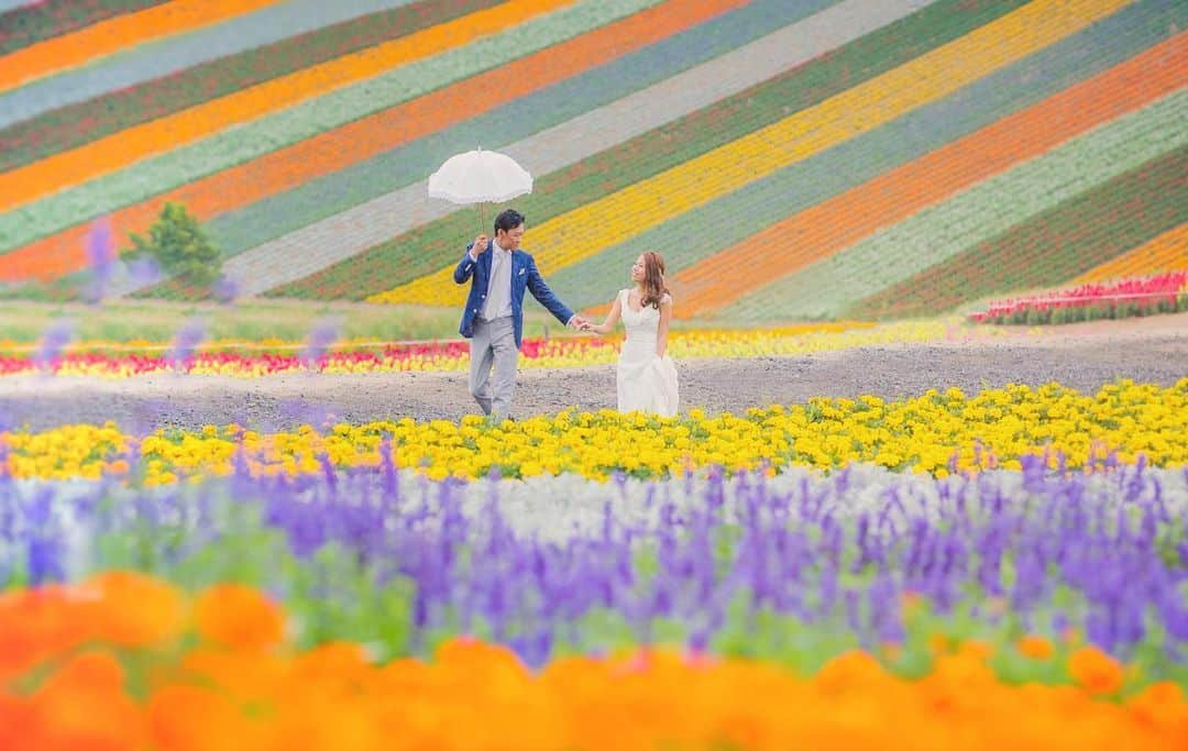 Decollte Wedding Photographyさんのインスタグラム写真 - (Decollte Wedding PhotographyInstagram)「【 Hokkaido 北海道 Biei 美瑛 】Romantic Lavender field in Hokkaido!😍❤️﻿ ﻿ @studiosola_hokkaido  @decollte_weddingphoto﻿ @decollte_weddingstyle﻿ ﻿ ﻿ #japan #hokkaido #lavenderfield #hokkaidosummer #Decolltephotography #weddinginspiration #Weddingphotography #prewedding #weddingphoto #overseasprewedding #japaneseprewedding #japanwedding #landscapephotography #romantic #love #happiness #日本  #北海道 #花海 #薫衣草 #海外婚紗 #婚紗 #唯美 #신부 #웨딩 #웨딩사진」2月14日 19時04分 - d_weddingphoto_jp