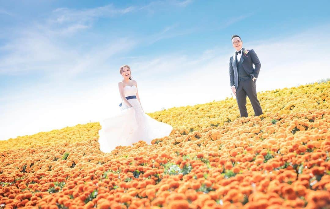 Decollte Wedding Photographyさんのインスタグラム写真 - (Decollte Wedding PhotographyInstagram)「【 Hokkaido 北海道 Biei 美瑛 】Romantic Lavender field in Hokkaido!😍❤️﻿ ﻿ @studiosola_hokkaido  @decollte_weddingphoto﻿ @decollte_weddingstyle﻿ ﻿ ﻿ #japan #hokkaido #lavenderfield #hokkaidosummer #Decolltephotography #weddinginspiration #Weddingphotography #prewedding #weddingphoto #overseasprewedding #japaneseprewedding #japanwedding #landscapephotography #romantic #love #happiness #日本  #北海道 #花海 #薫衣草 #海外婚紗 #婚紗 #唯美 #신부 #웨딩 #웨딩사진」2月14日 19時04分 - d_weddingphoto_jp