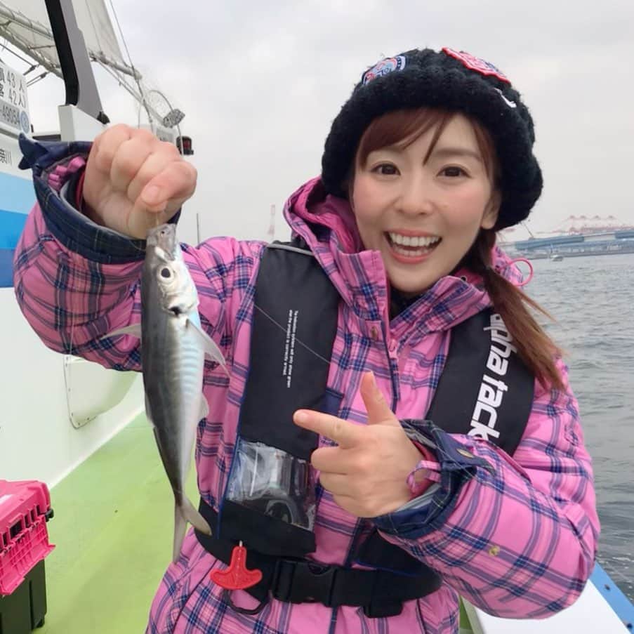 井上直美さんのインスタグラム写真 - (井上直美Instagram)「おはよ☆先日、東京湾からライトアジ釣りに行ってきたよ。ピクピクってあのアタリがたまらない。詳しくは今日発売のつり丸みてねん。今日からにいがたフィッシングショーがんばるよん。 　#釣り　#釣りガール　#つり丸　#ライトアジ　#LTアジ　#アジ　#忠彦丸　#トレインアングラー　#電車釣行　#アルファタックル　#井上直美　#釣りすきな人と繋がりたい  #にいがたフィッシングショー」2月15日 6時22分 - naochingyo
