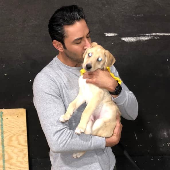 ペジ・ヴァーダトのインスタグラム：「This little angel and her brothers and sisters came to the @empirefox set today. They’re all up for adoption at @pawschicago hurry up cause I might take them all. And don’t mind her crazy eyes, my vain ass needed flash. #puppys #adoptdontshop #nokillshelters #dogsofinstagram」