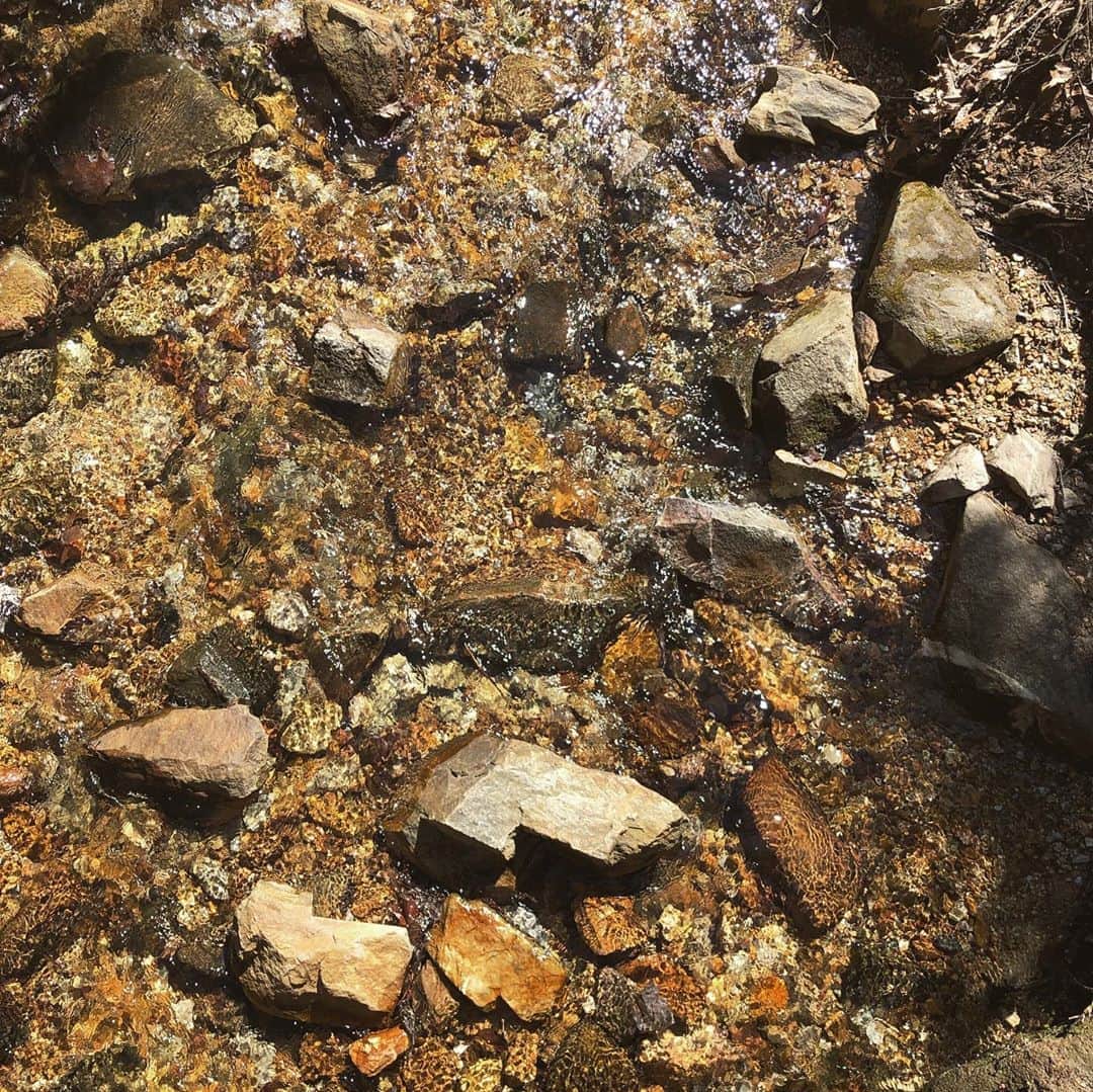 ティモシー・ドレンスキーのインスタグラム：「Nature is the best.」