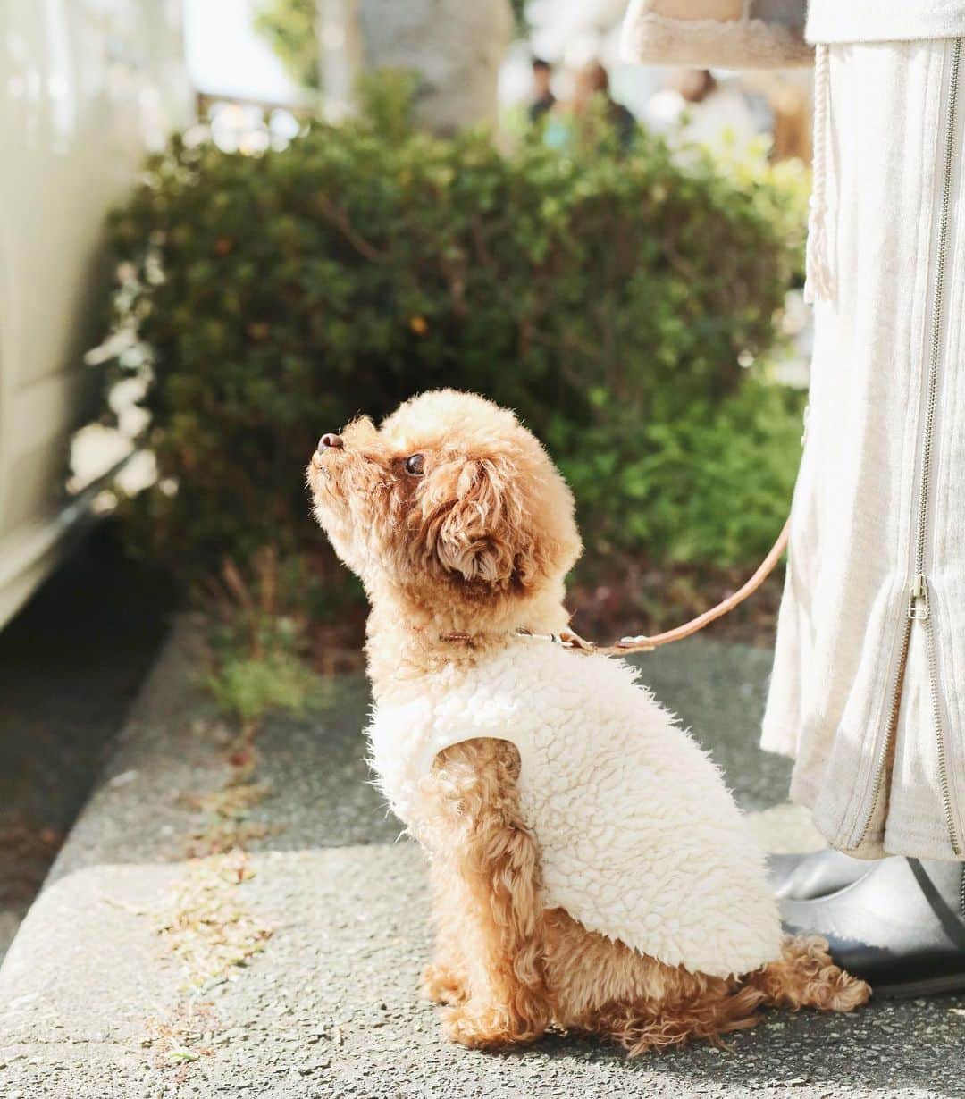 Rihoのインスタグラム：「愛おしい まなざし」
