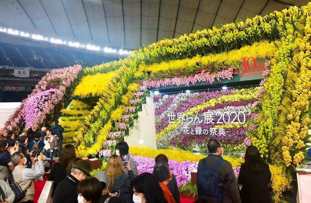 世界らん展日本大賞のインスタグラム：「【世界らん展2020、ついに開幕！】 本日初日を迎え、多くのお客様にお越しいただきました。  30周年を記念した大迫力のオーキッド・ゲートはフォトスポットとしても大人気！ 自分だけの一枚を撮りに花と緑の祭典へお越しください。  #世界らん展　#東京ドーム　#らん　#蘭」