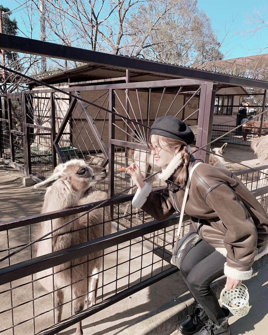 ほしのこのグルメインスタ