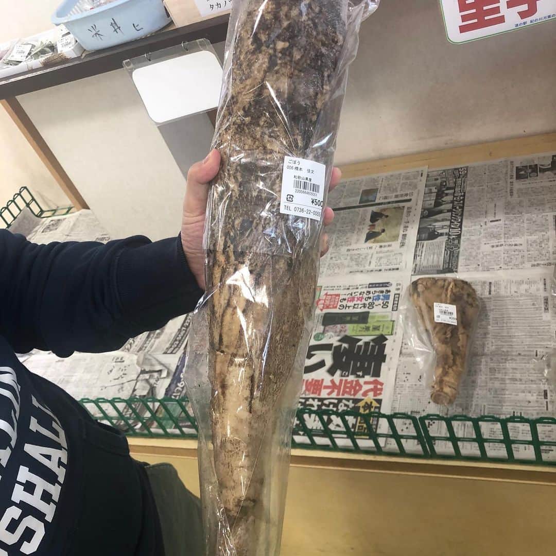 土肥ポン太さんのインスタグラム写真 - (土肥ポン太Instagram)「和歌山でデカいゴボウを見つけました。バットくらいありました。 #和歌山#かつらぎ町 #ゴボウ」2月14日 22時45分 - dohi_ponta
