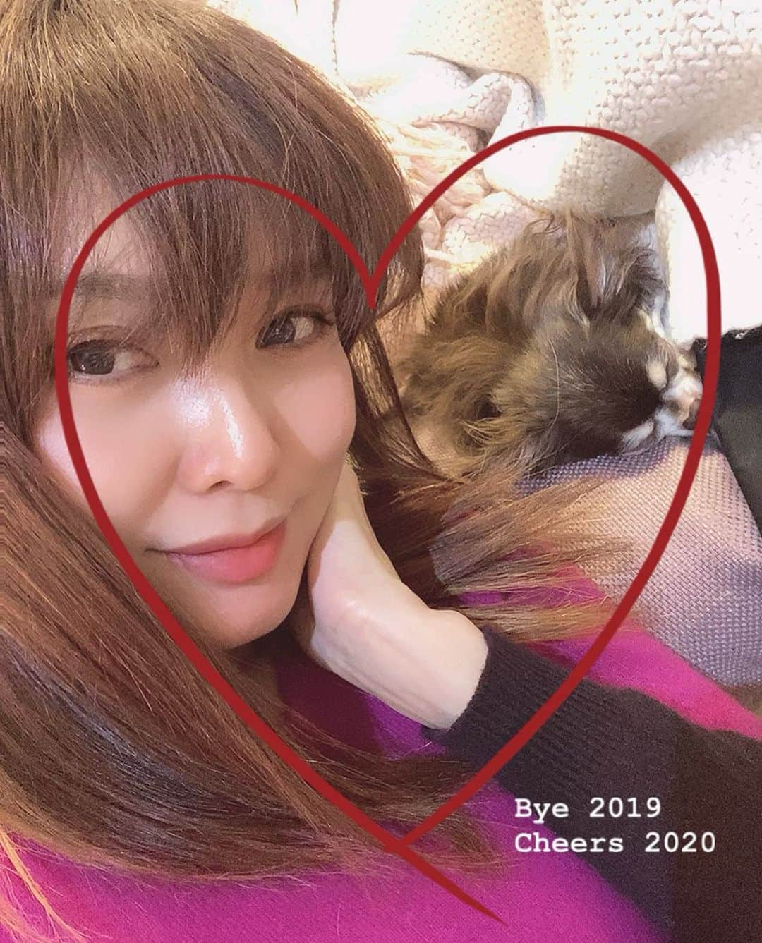 蓮城まことさんのインスタグラム写真 - (蓮城まことInstagram)「❤ Happy Valentine💝🍫 しゅがーの寝顔のプレゼントです✨ #HappyValentine #かわいこちゃん と #バレンタイン  過ごしました🥰 #しゅがー #チワワ #しょこら は毛布に潜ってる」2月14日 22時46分 - makotorenjo_king_official