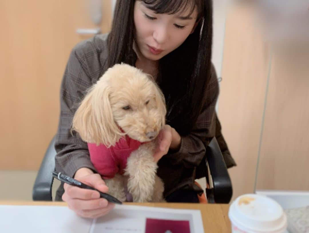 本城結実さんのインスタグラム写真 - (本城結実Instagram)「. . 東京美人プロジェクト 1月より各研修がスタートしました！ . 私はマナー講習、アテンド立ち居振舞い講習の講師を務めております。 . 既にご受講頂いた皆様、ありがとうございました。 . 基本的なマナーからイベント時に注意するべき事、相手の事を想った信頼される立ち居振舞い等を中心に講義を行なっておりますが 私自身も、改めて気をつけなければ！と身が引き締まる思いです。(ついつい家族の前では気が緩んでしまう🤤) . 東京美人プロジェクトでは幅広い研修を行なっています。 . 是非HPもご覧ください。 https://tokyobijin.jp @tokyobijin.jp . . #東京美人project #東京美人プロジェクト #エルアミティエ #tokyobijinproject #globalproduce #マナー講師 #立ち居振舞い #アテンド#おもてなし#omotenashi #本城結実 #接遇マナー #接遇 #アナウンサー #グローバルプロデュース」2月14日 23時32分 - yumihonjo_