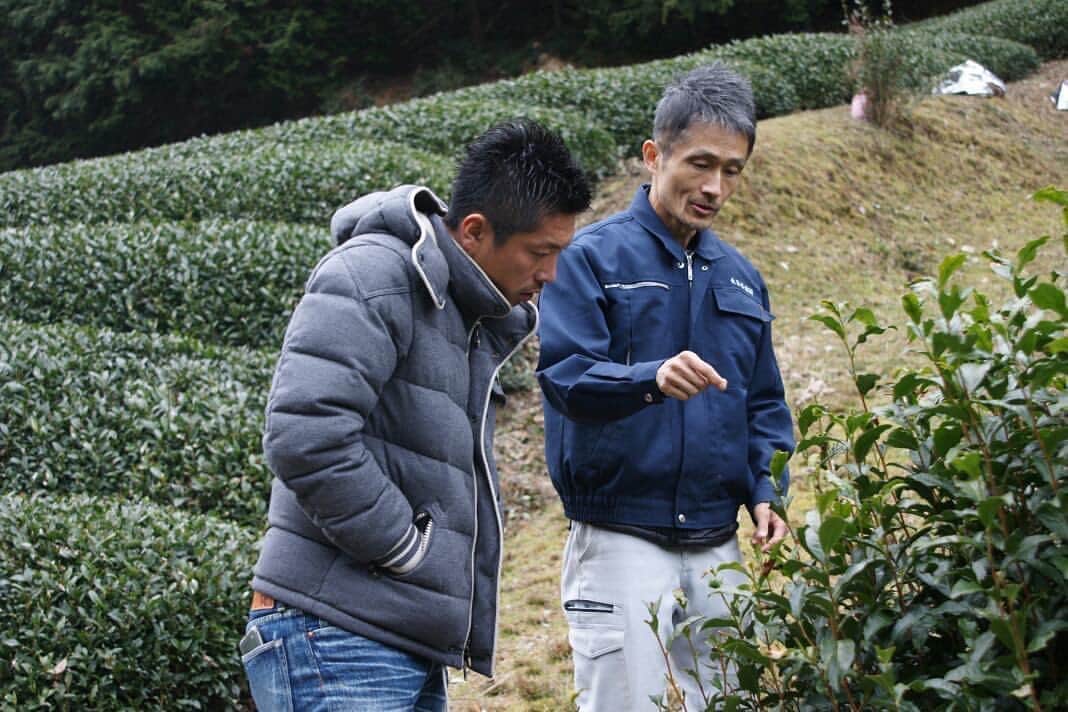 加藤順大さんのインスタグラム写真 - (加藤順大Instagram)「加藤茶畑に行く。 お茶。 埼玉県で育ち埼玉県では狭山茶が有名。 小学4年から中1まで静岡。静岡では給食でお茶が毎日やかんで用意されてたな〜。 京都サンガに入団して宇治のお茶。 自分が大好きな誰にも教えてない大好きな焼き鳥屋さんがあるのですが、最後の締めに香りも味も最高な宇治茶がでてくる。 京都サンガを応援して下さっている @kyotoujichanoki  様との素敵な出会いから宇治田原にある @nagatani_tea_factory 様のお茶畑を、見学させていただきました。 初めてしっかりお茶ができるまでを教えて頂きました。 日本に生まれてよかった。 ありがとうございました♡ #日々勉強　#お茶　#茶　#加藤茶畑に行く　#ナカマー　#伝統　#日本　#カテキン　#風邪予防　#身体にいいんだから」2月14日 23時30分 - nobuhiro1