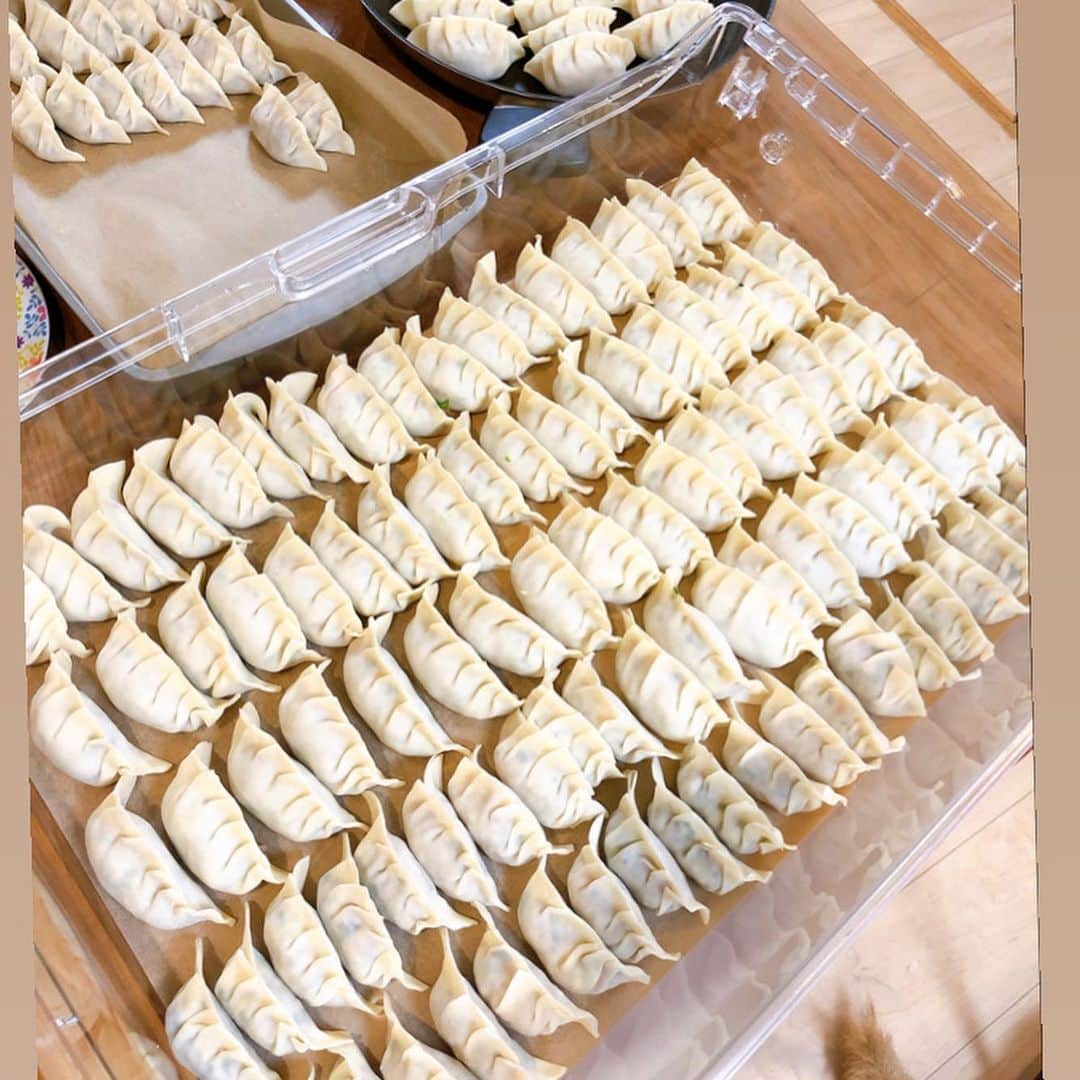 おーせさんのインスタグラム写真 - (おーせInstagram)「餃子最高♡♡ 手作り餃子ってなんでこんなにうまいんだろう。」2月14日 23時41分 - oosedon