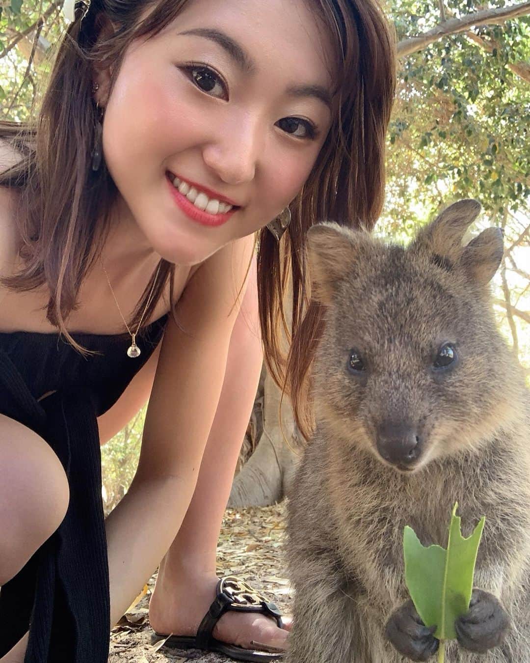のインスタグラム：「世界一幸せな動物🍀 Happy Valentine's Day❤️ #クオッカ#quokka#valentineday」