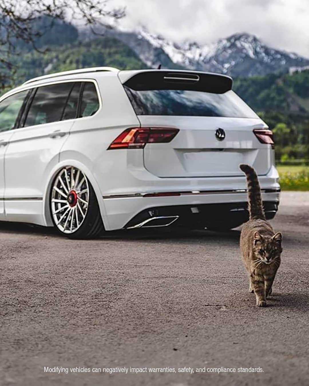 Volkswagen USAさんのインスタグラム写真 - (Volkswagen USAInstagram)「Furry friends are the best kind of Valentine and we want to show them some love ❤️ Share a photo of your best friend and VW using #VWPets for a chance to be featured! 🚗🐾: @mr.pokee @mayapolarbear @bully.baloo @strackersimon @paris.fotos」2月15日 0時46分 - vw