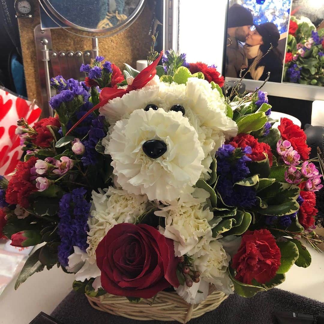 マリッサ・キングさんのインスタグラム写真 - (マリッサ・キングInstagram)「Happiest when I’m with you ❤️ #myvalentine #iloveyousomuch #happyloveday #wewillgetadogoneday #flowerdog 🐶 💐 #thankyou❤️」2月15日 6時29分 - marissapking