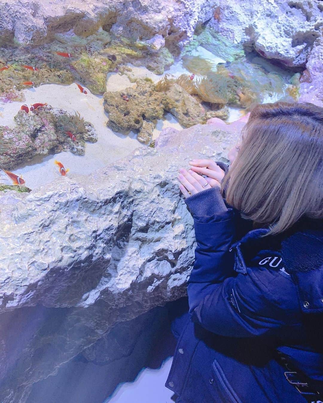 鈴木真梨耶さんのインスタグラム写真 - (鈴木真梨耶Instagram)「#水族館 #aquarium」2月15日 14時13分 - mariya_suzuki