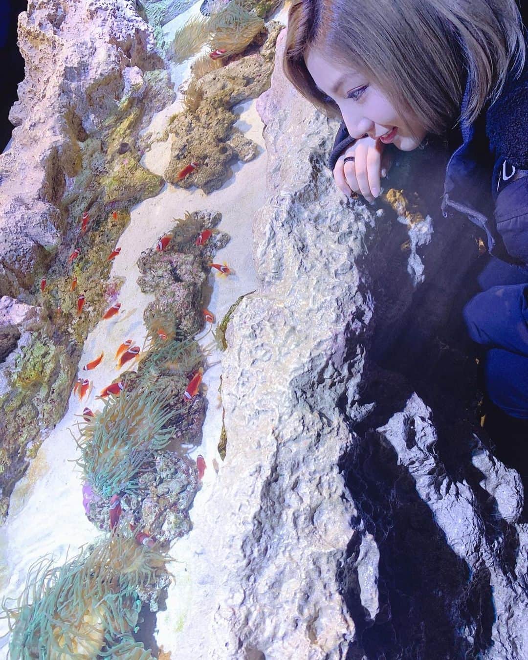 鈴木真梨耶さんのインスタグラム写真 - (鈴木真梨耶Instagram)「#水族館 #aquarium」2月15日 14時13分 - mariya_suzuki