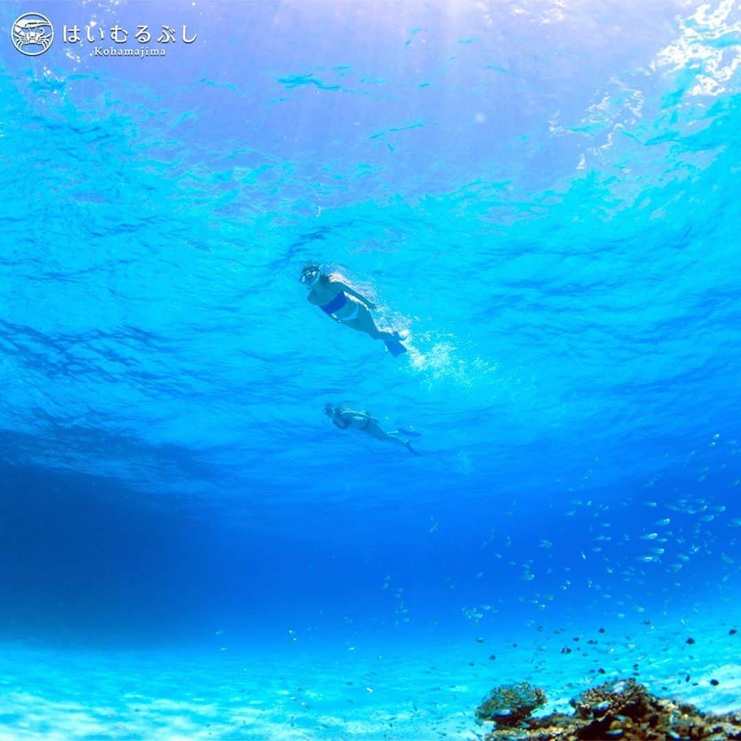 HAIMURUBUSHI はいむるぶしさんのインスタグラム写真 - (HAIMURUBUSHI はいむるぶしInstagram)「青い世界で宙を舞うように海中を泳ぐ心地よさ… 澄んだ海で清々しい気持ちにさせてくれます。 #沖縄 #八重山諸島 #小浜島 #サンゴ礁 #海 #シュノーケリング #リゾート #ホテル #はいむるぶし #japan #okinawa #yaeyamaislands #kohamajima #bluesea #coral #snorkeling #beachresort #haimurubushi」2月15日 14時26分 - haimurubushi_resorts