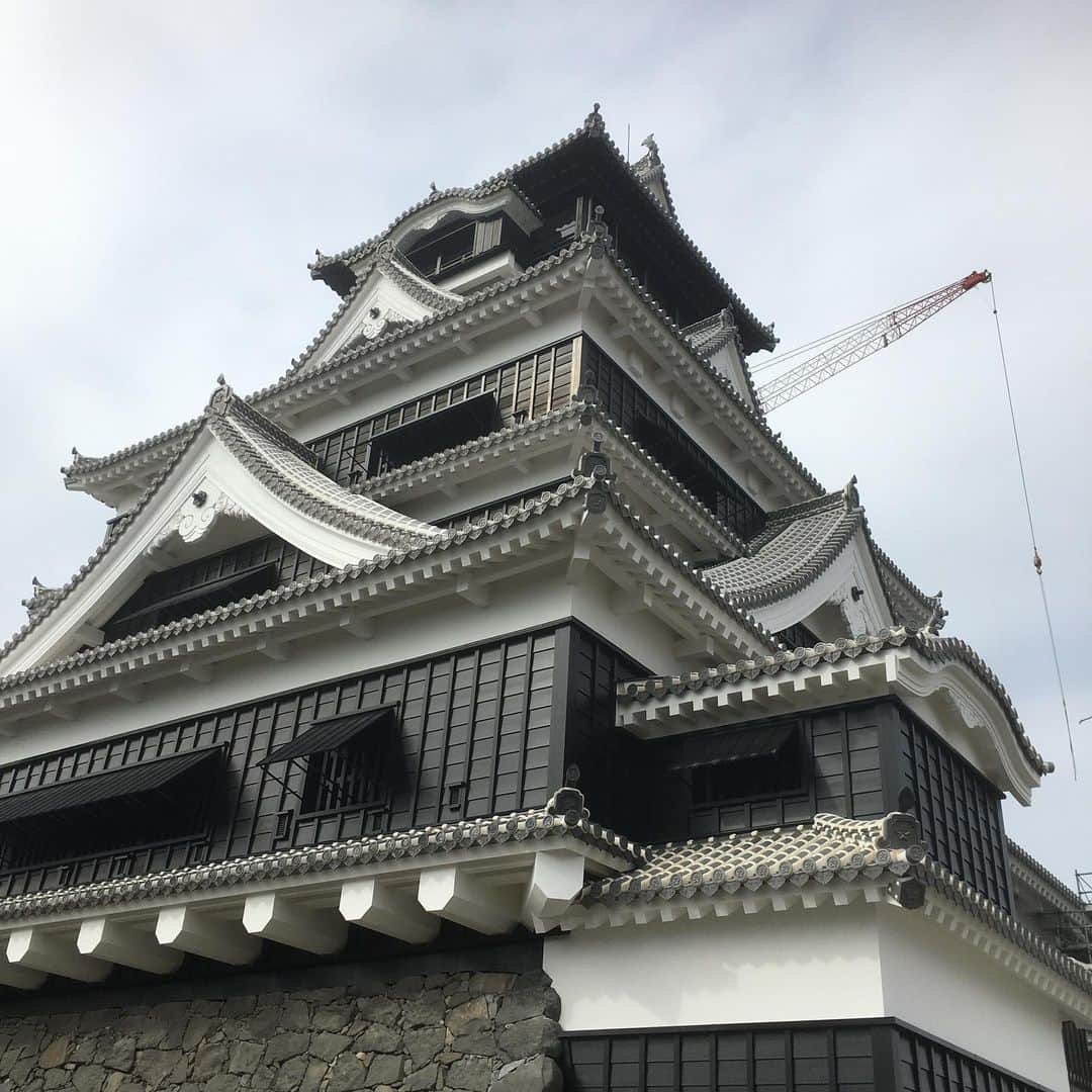 熊本城のインスタグラム：「今日15日と16日は熊本城特別公開！　#熊本城マラソン に参加のランナーの方は無料です！ ランナーの皆様、完走目指して頑張ってください。ゴールでお待ちしています。  熊本城フォトコンテスト 開催中。  https://kumamoto-guide.jp/kumamoto-castle/photocontest/  #熊本城 #kumamotocastle #熊本 #kumamoto #japan #japantrip  #earthquake #天守」